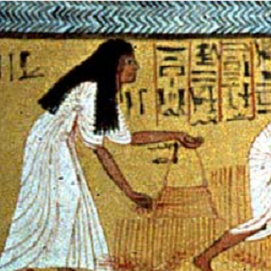 Detail from a tomb painting showing a woman in a white dress gathering the harvest