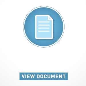 Document icon