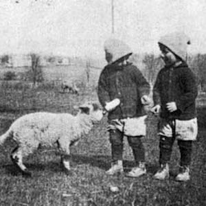 thumbnail of an orphan children feeding a goat